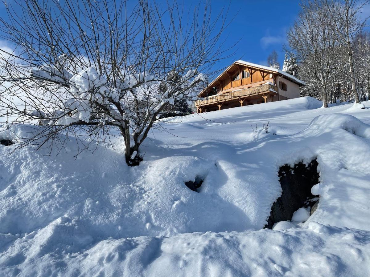 Chalet Spa Le Diamant Nathalie Mn La Rouge La Bresse Esterno foto